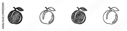 Sketch nectarine icon design set