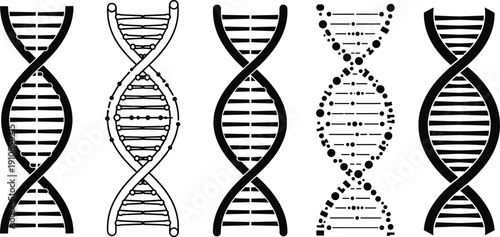 DNA double helix vector set showing different genetic molecule styles isolated on white background for biotechnology science research design concepts illustration collection