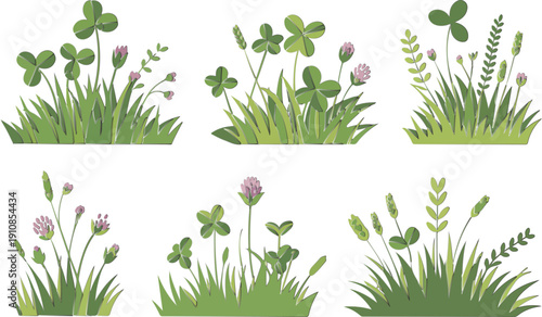 Summer Meadow Clover Plants Vector Illustration Set