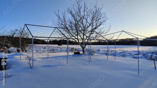 frozen lake in winter