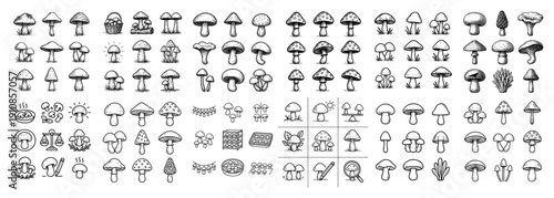 Hand-drawn mushrooms collection