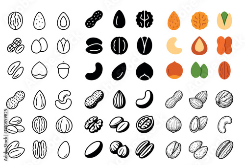 Variety of nut and seed illustrations