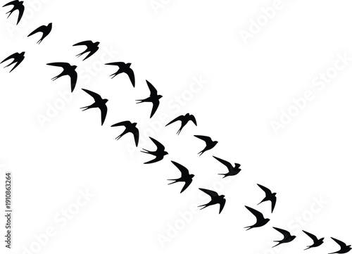 Vector illustration of bird flight silhouettes, diagonal dynamic wing movement design for creative decoration, branding, motion studies, and artistic inspiration