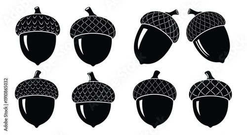A collection of black and white acorns in varying orientations