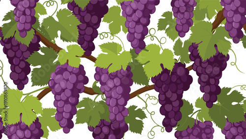 Seamless pattern of vibrant purple grape clusters hanging from vines with green leaves, on a clean white background for design.