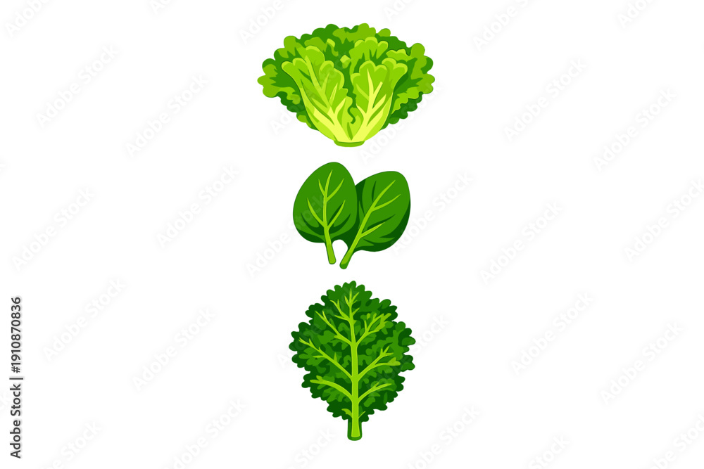 Naklejka premium An illustration featuring three types of leafy green vegetables: a head of lettuce, two spinach leaves, and a single kale leaf, all arranged vertically against a solid black background.