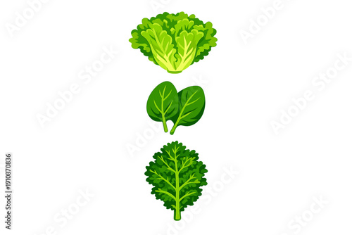 An illustration featuring three types of leafy green vegetables: a head of lettuce, two spinach leaves, and a single kale leaf, all arranged vertically against a solid black background.