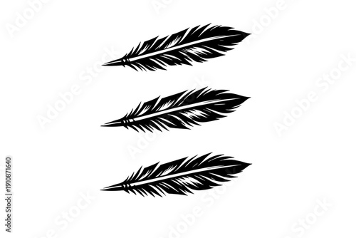 Three white feathers are arranged vertically against a solid black background. This minimalist graphic illustration features detailed quill and barb textures in a high-contrast style.