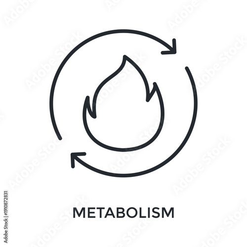 Metabolism Icon Outline Style. Vector Illustration For Graphic Design