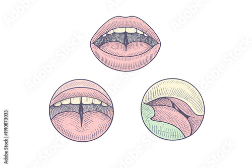 Three anatomical illustrations of a human mouth and tongue in an engraving style. The diagrams show the position of the tongue relative to the teeth and palate on a black background.