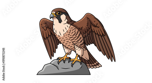 Majestic Falcon Perched on Rock Wildlife Illustration for Your Projects