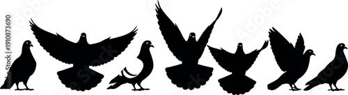 Set of Black Silhouettes of Doves and Pigeons Flying and Standing Isolated on White Background for Peace and Freedom Symbols
