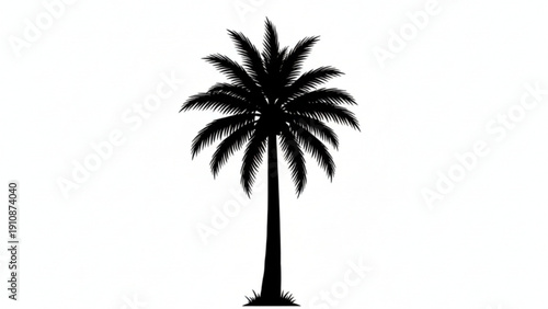 Single Tropical Palm Tree Silhouette Isolated on White Background Vector Illustration