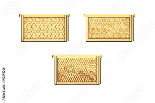Three vintage-style illustrations of wooden beehive frames containing honeycomb cells at different stages of use, shown against a solid black background for clarity and detail.