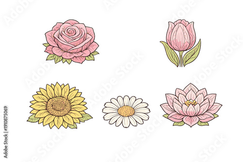 A collection of five stylized flower illustrations including a rose, tulip, sunflower, daisy, and lotus, presented in a soft color palette against a solid black background.