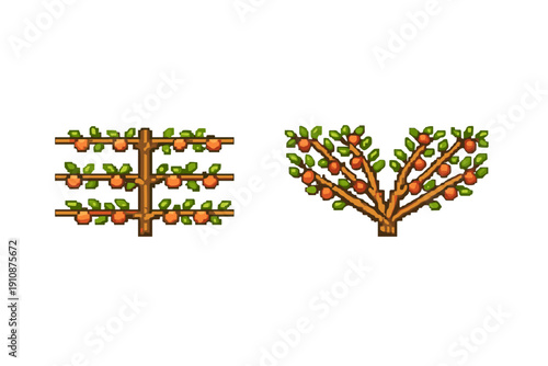 Two pixel art illustrations of fruit trees on a black background. One tree is trained in a horizontal espalier style, while the other is in a fan shape, both bearing orange fruit.