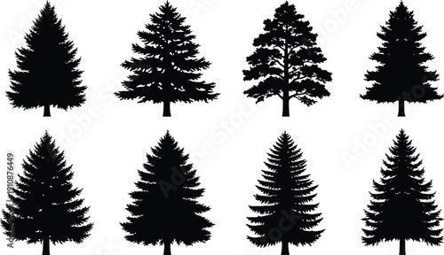 Pine tree silhouette vector set collection, forest evergreen fir and spruce plant, black isolated on white background, nature landscape graphic design element icon pack.