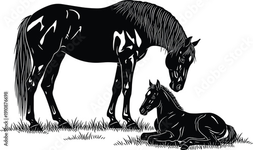 Detailed black silhouette of a mother horse standing over her foal resting in the grass isolated on a white background for equestrian designs