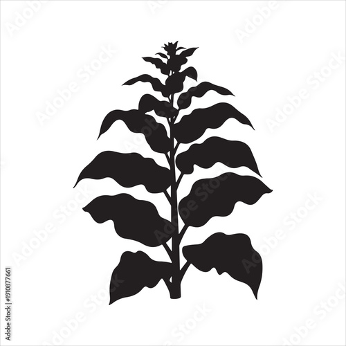 Tobacco Plant Silhouette Vector, Tobacco Tree Plant Silhouette Icon