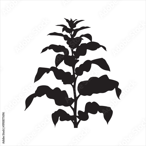 Tobacco Plant Silhouette Vector, Tobacco Tree Plant Silhouette Icon