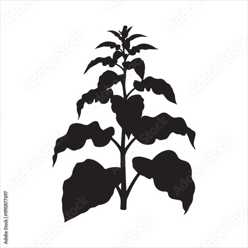 Tobacco Plant Silhouette Vector, Tobacco Tree Plant Silhouette Icon