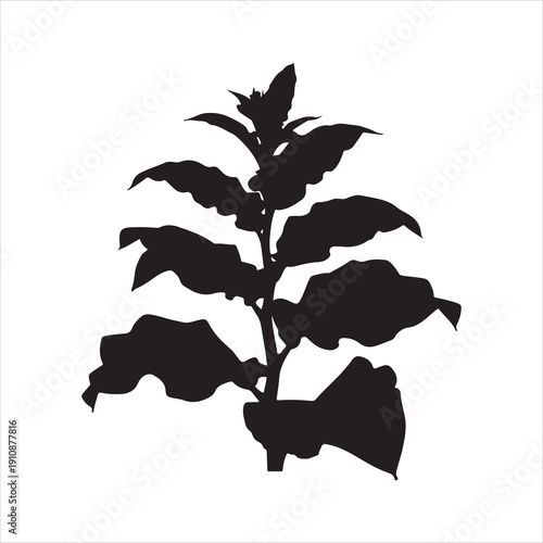 Tobacco Plant Silhouette Vector, Tobacco Tree Plant Silhouette Icon