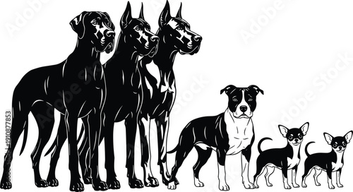 Black silhouette collection of diverse people reading books in various poses sitting standing and lying down isolated on white background for education library concepts