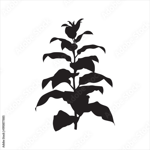 Tobacco Plant Silhouette Vector, Tobacco Tree Plant Silhouette Icon