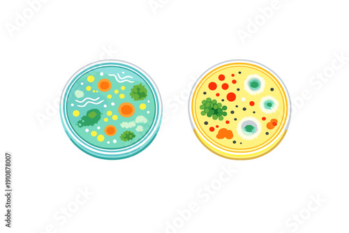 An illustration of two petri dishes with various colorful bacterial and fungal colonies on agar. The dishes are set against a solid black background, depicting scientific research.