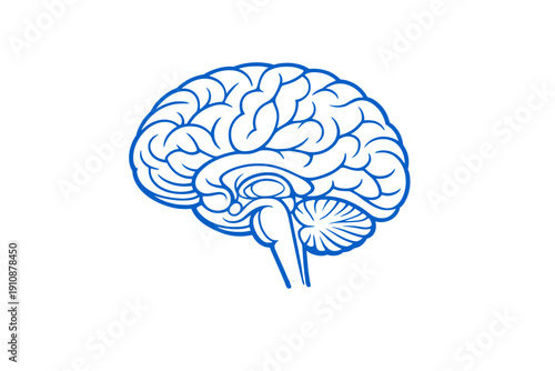 A blue and white line art illustration of a human brain shown from a side profile view against a solid black background. The graphic depicts the cerebral cortex, cerebellum, and brainstem.