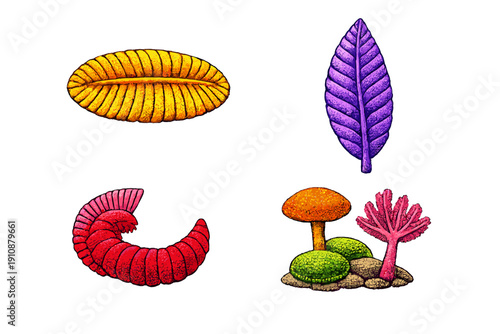A collection of colorful prehistoric organisms from the Ediacaran period, including segmented and leaf-shaped life forms, presented as stylized illustrations on a solid black background.