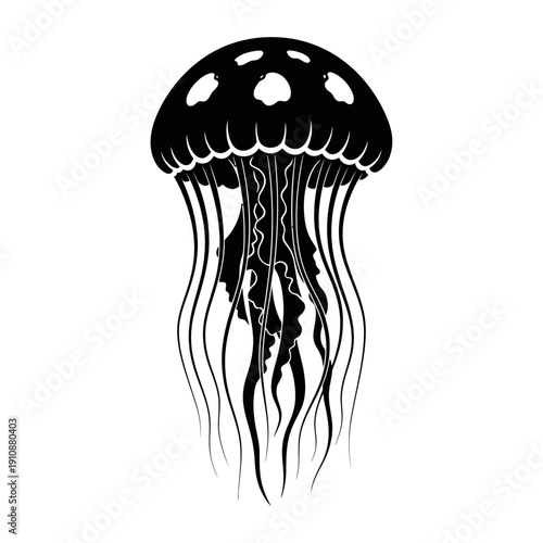 A vector file with text on a white background