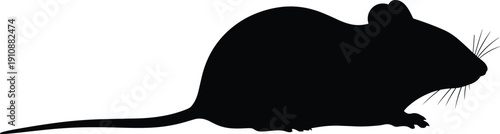 Silhouette of a mouse crawling and sitting isolated on white background for pest control design elements rodent vector illustration small animal collection for graphics