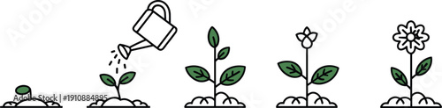 Plant growth stages illustration, sprout to flower, watering can design, nature development, agriculture education, eco sustainability, biology learning, gardening art
