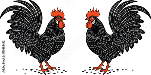 Rooster chicken vintage engraving illustration, farm poultry vector design, black feathered cockerel artwork, rustic agriculture emblem, traditional animal logo style