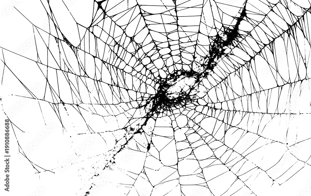 Obraz premium Realistic White Spider Web Overlay on Dark Background