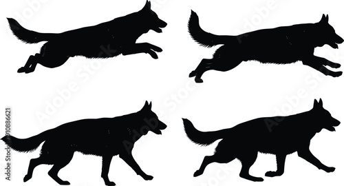 Silhouette of German Shepherd dogs running and walking set isolated on white background for canine design elements police dog vector illustration pet collection graphics