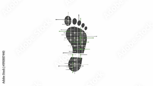 Detailed human foot anatomy illustration.
