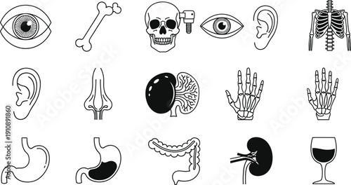 Human Anatomy Icon Set with Organs, Skeleton and Sensory Symbols, Black and White Medical Vector Illustration Collection for Healthcare Design
