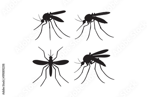 Silhouettes of four mosquitos in varying poses depict the common insect in black and white