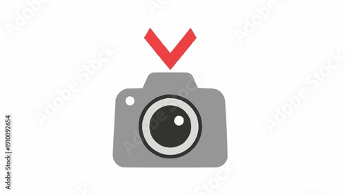 Gray Camera Icon with Red Checkmark.
