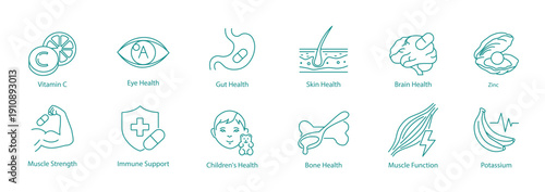 Complete Health and Vitamin Icons. Vector Line Set for Brain, Skin, and Eye Care.