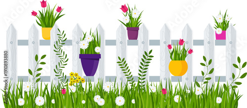 Potted chamomile and tulips. Garden flowers. Flat vector illustration isolated on white background.