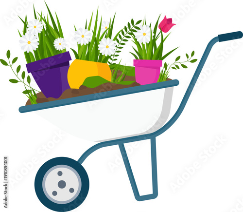 Potted chamomile and tulips. Garden flowers. Flat vector illustration isolated on white background.