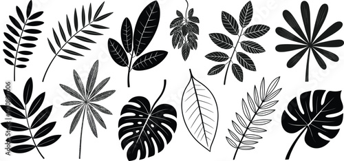 Set of black tropical leaf silhouettes including monstera palm and fern fronds isolated on white background for summer nature design patterns and botanical logos