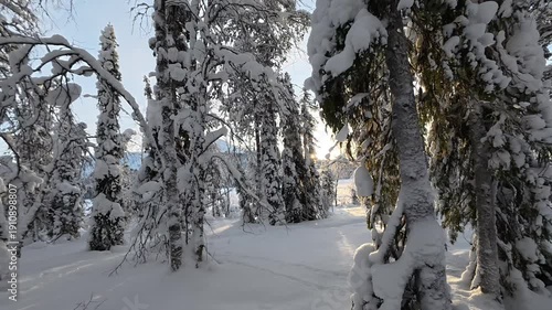 Slow Motion Sun Flare Through Winter Trees With Lake Kesänki and Yllästunturi View