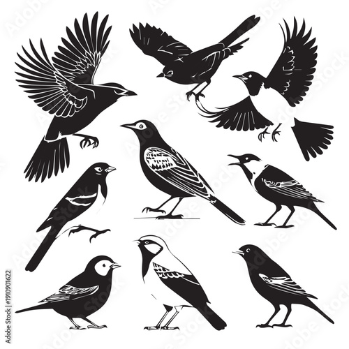 A diverse collection of black bird silhouettes and wildlife vector illustrations featuring flying eagles, crows, and pigeons with spread wings isolated on white