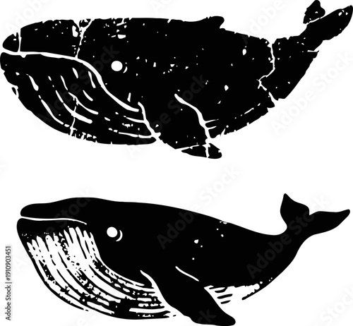 Two black whale silhouettes with textured details, ocean marine creatures in side profile