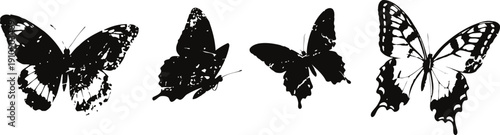 silhouettes of four different butterflies in flight with distinct wing patterns