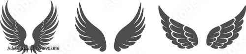 Collection of paired bird or angel wings in symmetrical flight pose